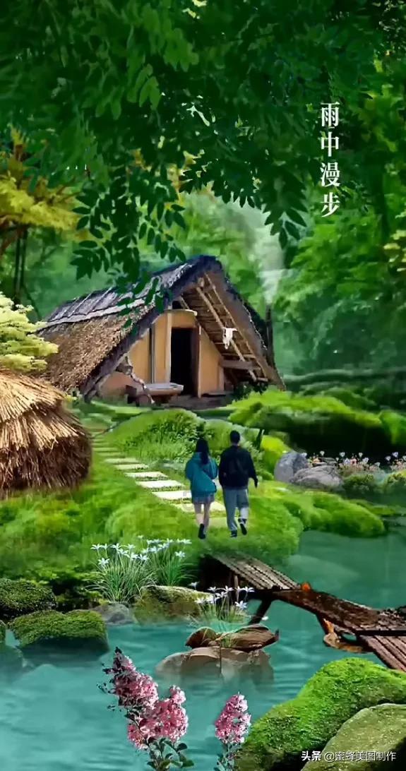 新飞飞
