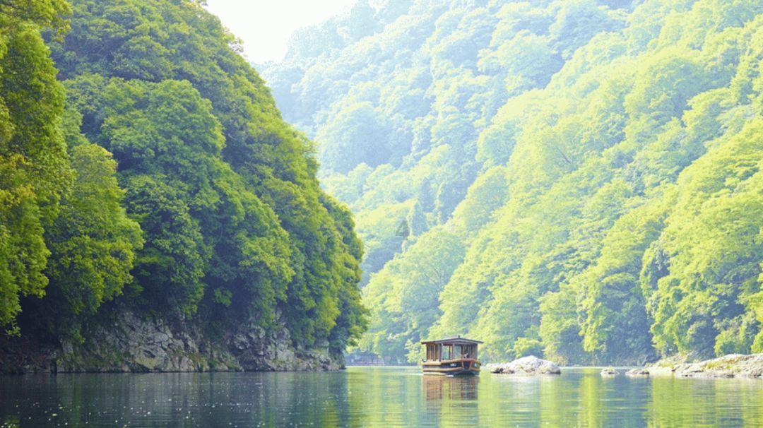 虫虫助手下载
