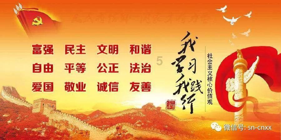 猪猪去冒险