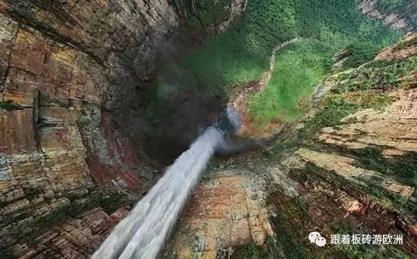 逃离梦想花园
